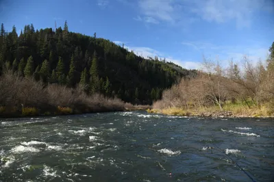 DSC_0235 (Large).JPG